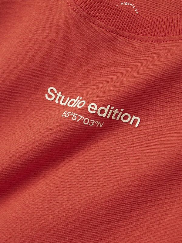 Regular Fit - T-shirt - Groen - Katoen - Rubberen Print