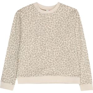 VERO MODA - Sweatshirt - Groen - Katoen - Boxy Fit
