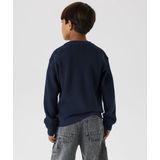 Gebreide Trui - Regular Fit - Cardigan Stitch