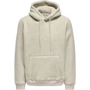 ONLY & SONS - ONSEMILIO REG TEDDY HOODIE - Sweatshirt - Silver lining