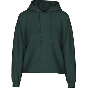 Pcchilli - Hoodie - Regular Fit - Lange Mouwen