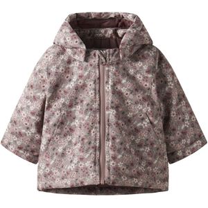 Baby Winterjas 2025 kopen? ✔️ Laagste Prijs