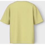 NAME IT - NMMVICTOR 2P SS NREG TOP - T-shirt - Chardonnay Forest Bloom - Korte Mouwen