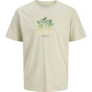 JACK&JONES - JORALMERIA T-shirt - Celadon Tint - Korte Mouwen - Regular Fit