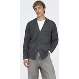 Only & Sons Gebreid vest 'ONSRay'  grijs