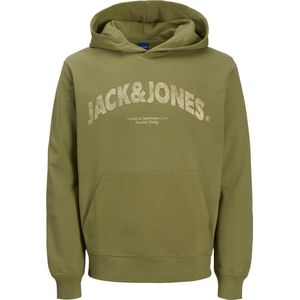 Jack & Jones - JORALMERIA SWEAT HOOD PLS - Hoodie - Cedar - Met Capuchon