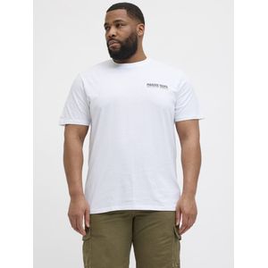 JACK&JONES - JORBOTANIQ TEE SS CREW NECK TG PLS - Heren T-shirt