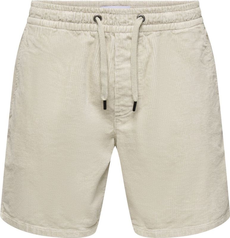 Shorts - Blauw - Katoen - Regular Fit