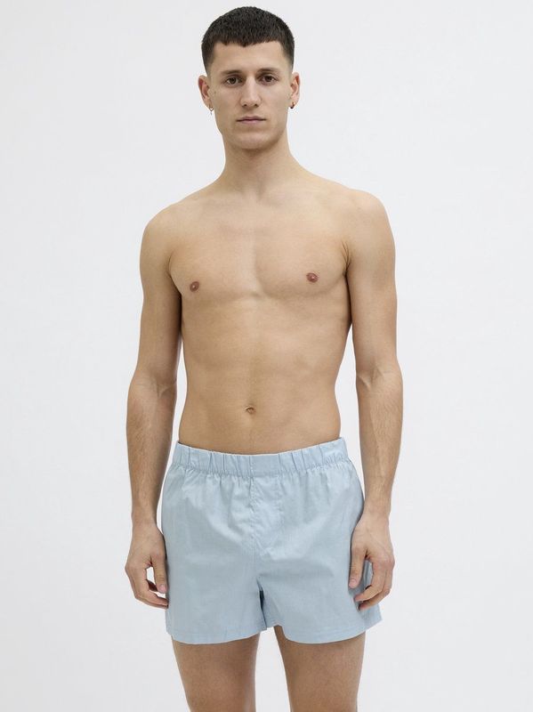 DEAL heren wijde boxershort check blauw & rood 192286