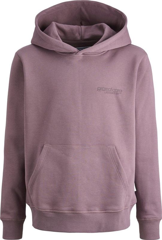 JACK&JONES - JCOUNION PRINT SWEAT HOOD JNR - Jongens - Sweater - Paars