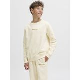 Jack and Jones Junior - Sweatshirt - Grijs - Katoen