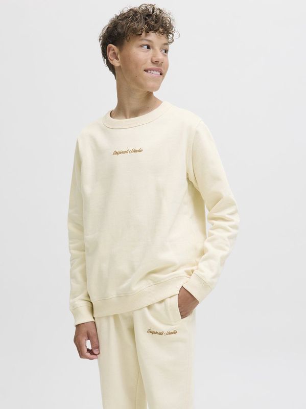 Jack and Jones Junior - Sweatshirt - Grijs - Katoen