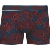 JACK & JONES - JACKENDRIC - Boxershorts - Set van 3