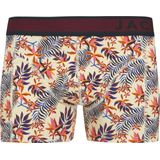JACK&JONES - JACLANDON TRUNKS - Boxershorts - 10 Pack