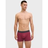 JACK&JONES - JACLANDON TRUNKS - Boxershorts - 10 Pack