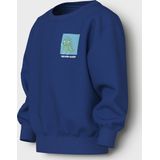 NAME IT - NMMVASHA LS NREG - Sweatshirt - Jongens - Lange Mouwen