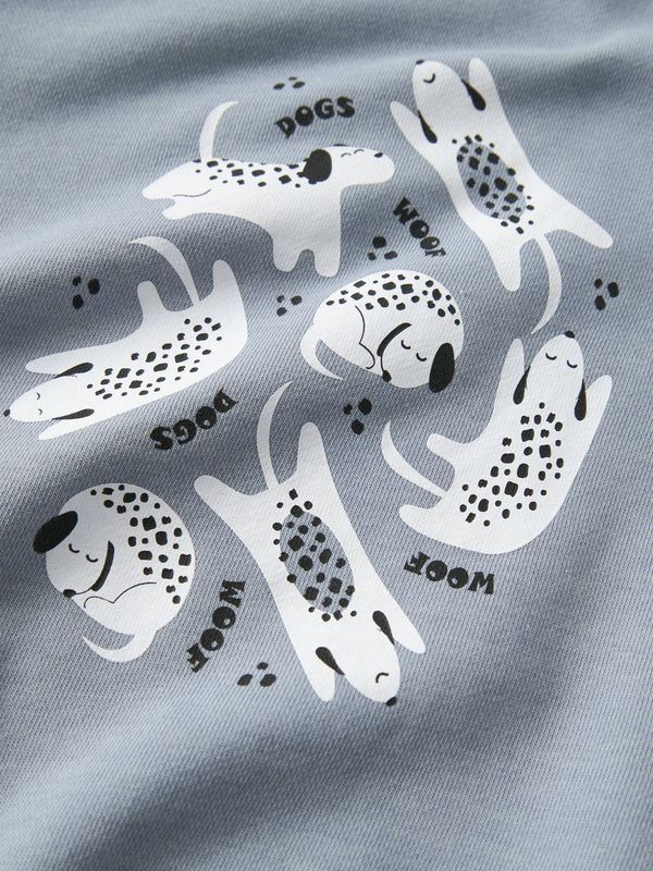 Regular Fit Sweatshirt