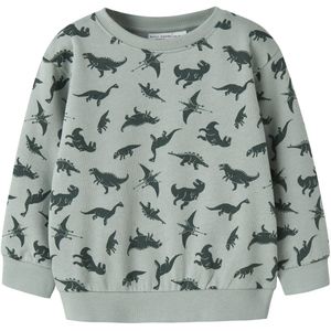 NAME IT - NMMVIFELIX LS NREG - Sweatshirt - Jongens - Lange Mouwen