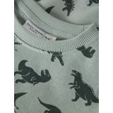 NAME IT - NMMVIFELIX LS NREG - Sweatshirt - Jongens - Lange Mouwen