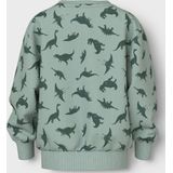 NAME IT - NMMVIFELIX LS NREG - Sweatshirt - Jongens - Lange Mouwen