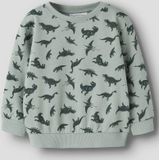 NAME IT - NMMVIFELIX LS NREG - Sweatshirt - Jongens - Lange Mouwen