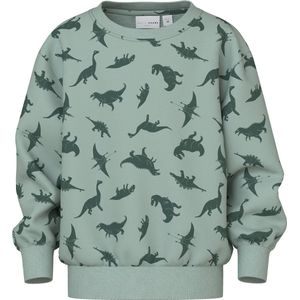 NAME IT - NMMVIFELIX LS NREG - Sweatshirt - Jongens - Lange Mouwen