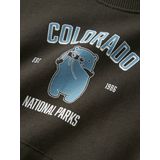 NAME IT Nmmvoder Ls Nreg Sweat Box Unb, Turkse koffie., 116