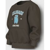 NAME IT Nmmvoder Ls Nreg Sweat Box Unb, Turkse koffie., 116