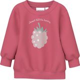 Sweatshirt - Geborsteld - O-hals - Lange Mouwen - Regular Fit