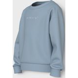 NAME IT - NKFVANITA LS RLX - Sweatshirt - Meisjes - Lange Mouwen
