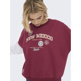 Onlmiriam - Sweatshirt - V-Hals - Katoen - Korte Mouwen - Regular Fit