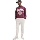 Sportbroeken - Geborsteld - Relaxte Pasvorm - Zwart - 65% Gerecycled Polyester