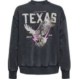 Only - ONLLUCINDA - Sweatshirt - Phantom - Lange Mouwen - Ronde Hals