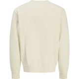 Sweatshirt - Ronde Hals - Lange Mouwen - Relaxte Pasvorm - Katoen/Gerecycled Polyester