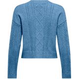 ONLY - Onlfia Ls String Cardigan - Dames - Nca - 1 Stuk