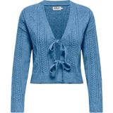 ONLY - Onlfia Ls String Cardigan - Dames - Nca - 1 Stuk