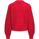 Jack & Jones - Kelly Chunky Jjxx - Gebreide Trui - Ronde Hals - Lange Mouwen