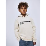 Name It - Nkmleonas Ls Nreg - Sweatshirt - Bruin - Kinderen