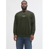 Sweater - Ronde Hals - Lange Mouwen - Biologisch Katoen - Plus-Model