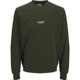 Sweater - Ronde Hals - Lange Mouwen - Biologisch Katoen - Plus-Model