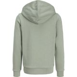 Jack & Jones - Hoodie - Blauw - Katoen