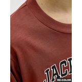 Jack & Jones Junior - JJECALEB - Shirt - Roestbruin / Zwart / Wit - Lange Mouw