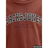 Jack & Jones Junior - JJECALEB - Shirt - Roestbruin / Zwart / Wit - Lange Mouw