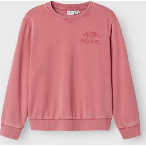 NAME IT KIDS - Sweater - Blauw - Katoen
