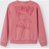 NAME IT - Sweater - KIDS - Comfortabel - Lange Mouwen - Ronde Hals