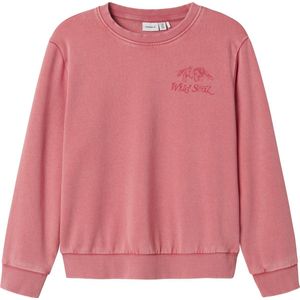 NAME IT - Sweater - KIDS - Comfortabel - Lange Mouwen - Ronde Hals