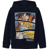 Hoe Tem Je Een Draak - Hoodie - Grijs - Katoen/Polyester - Relaxte Pasvorm