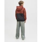 Jack & Jones - JJIAlex JJOriginal - Jeans - Blauw - Baggy