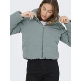 ONLY - ONLNEWDOLLY CORDUROY PUFFER - Gewatteerde Jas - Dames