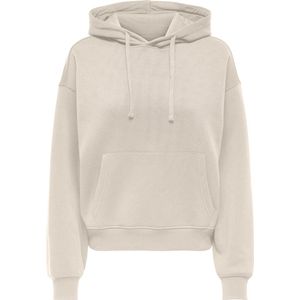 Only - Onlbest Life Hood Swt Noos - Trui - Light Grey Melange